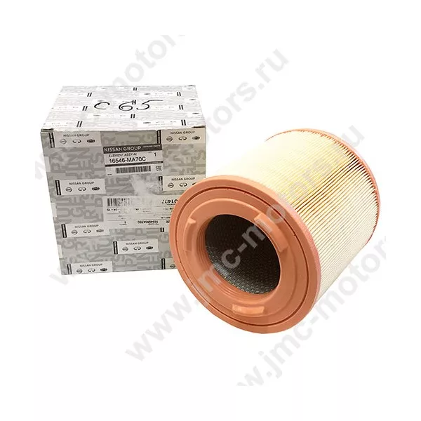 Фильтр воздушный NISSAN CABSTAR (Ниссан Кабстар) F24, оригинал, 16546MA70C