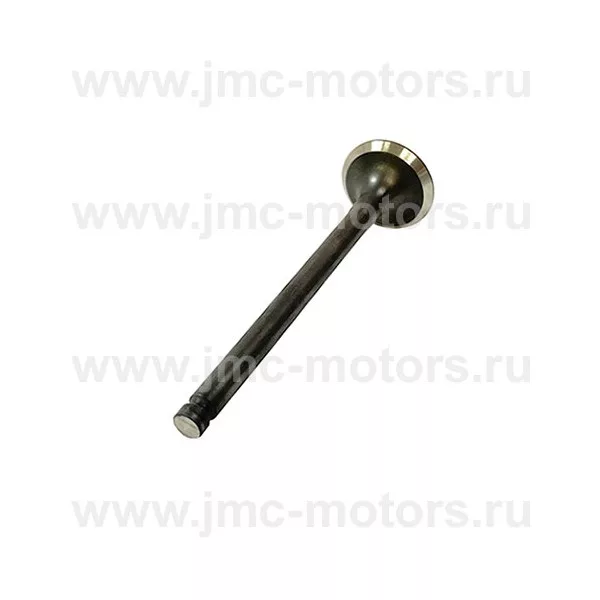 Клапан выпускной BAW Tonik (БАВ Тоник) 33463, XG471QE1007016